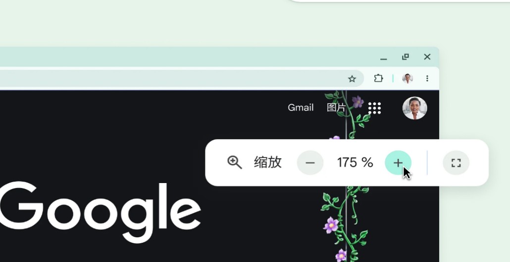 chrome放大缩小功能
